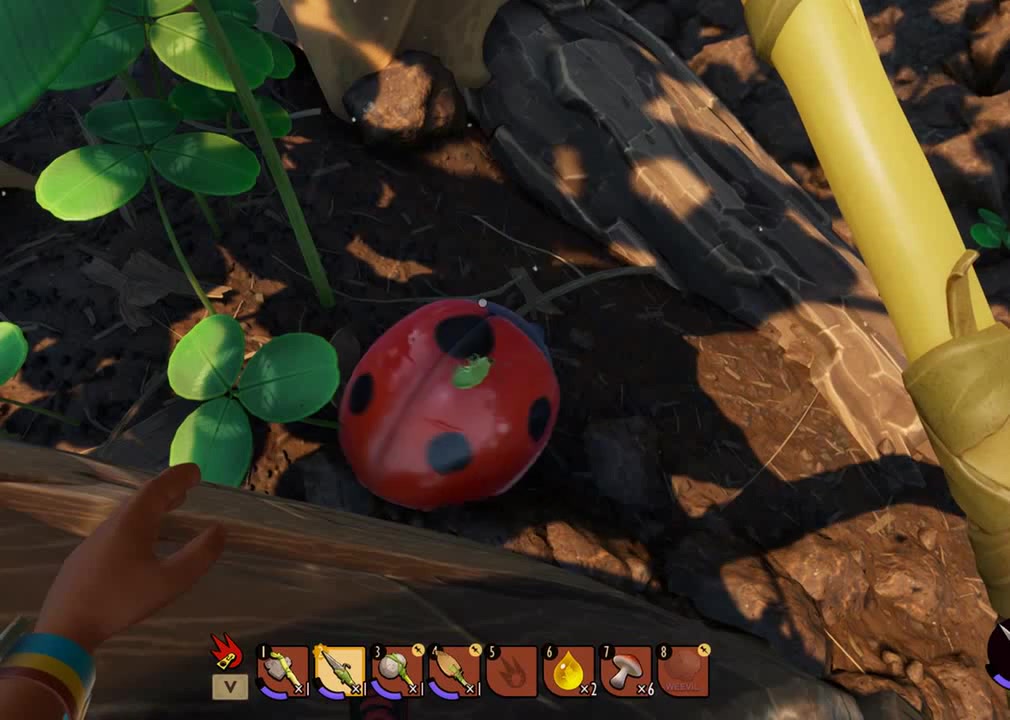 Lady Bug Bug - Coub