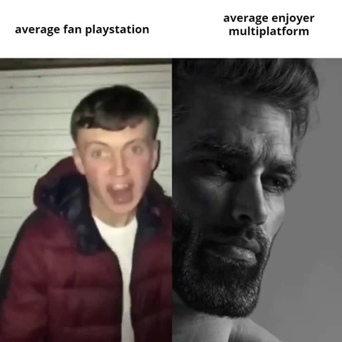 Average Fan Playstation Vs Average Enjoyer Multiplatform Coub The Biggest Video Meme Platform