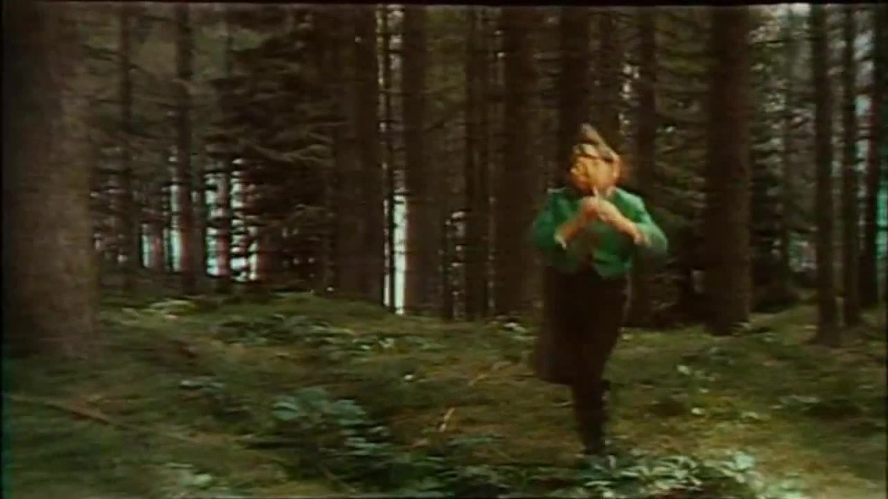 Harry Potter Theme Song on flute Coub