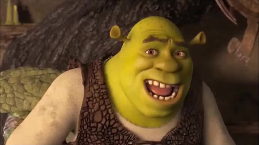 Shrek and Donkey's Awkward Conversation - Coub - The Biggest Video Meme ...