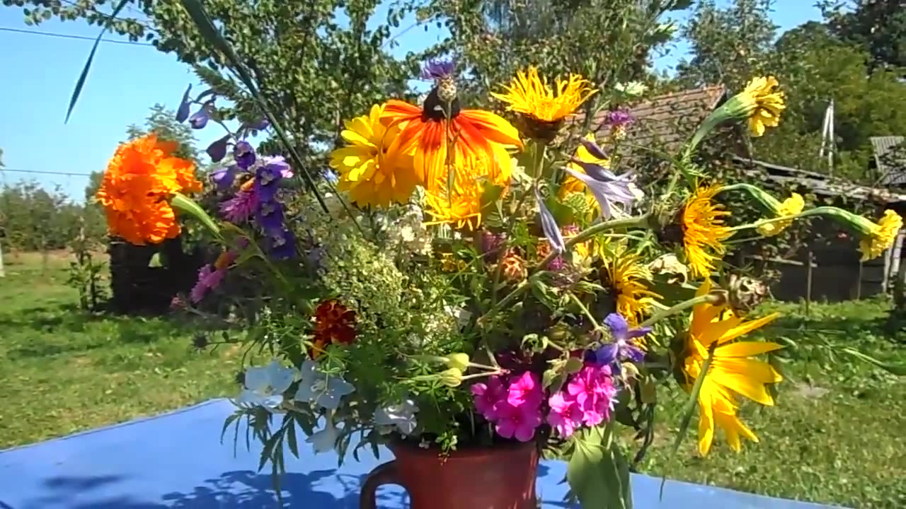 Как нарисовать картину, если нету кисточек ? How to paint a picture