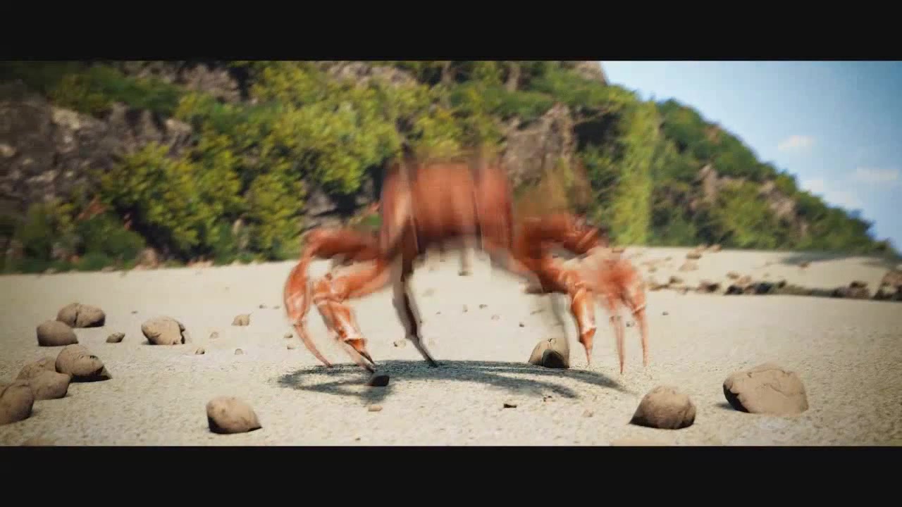 Танцующий краб. Краб дэнс. Песня танцующих крабов. Дать краба. Танцующий краб.