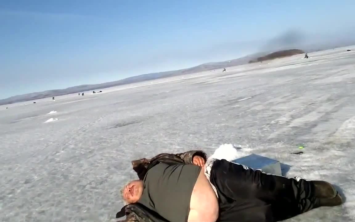 Кот говорит нормально видео