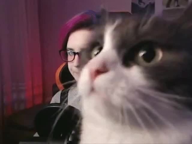 вот из лов, бэйби донт хёрт ми, донт хёрт ми, ноу мор))) - Coub