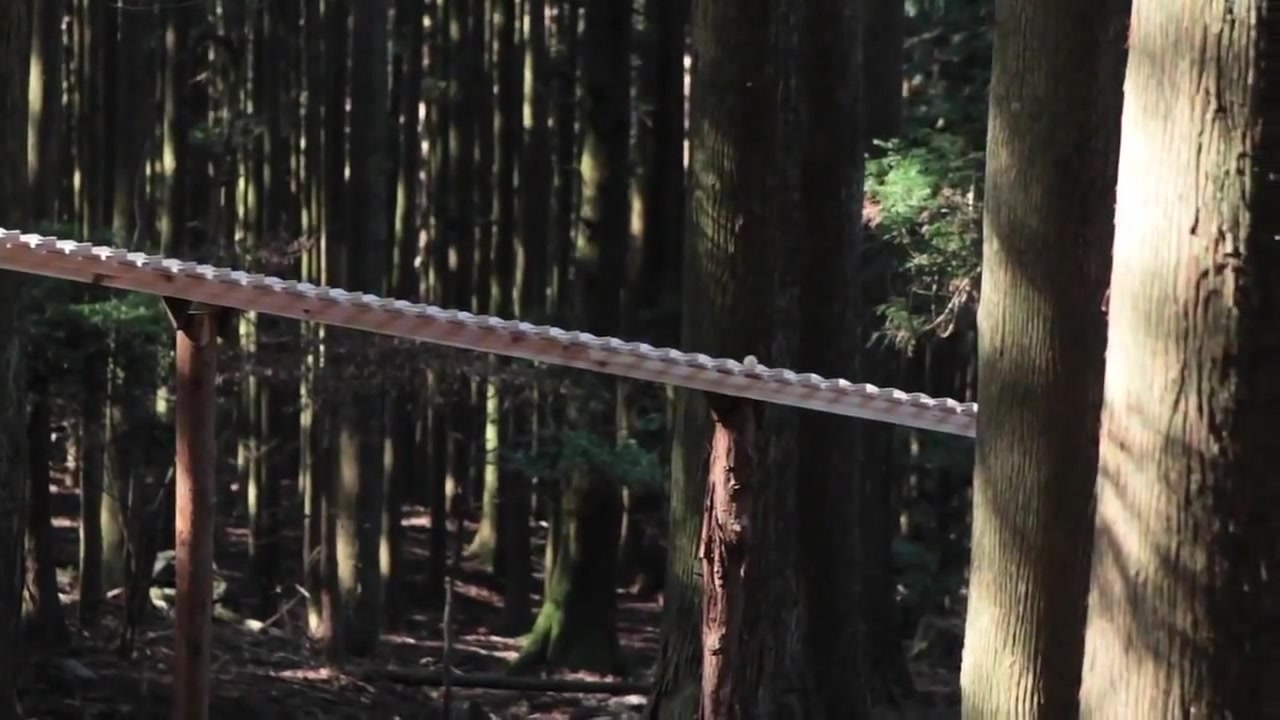 Forest Xylophone With A Wooden Ball J.S. Bach's Cantata Op. 147 (feat