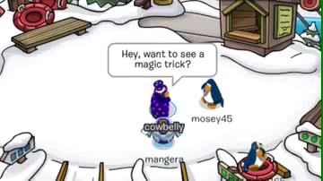 Spicy club penguin - Coub - The Biggest Video Meme Platform