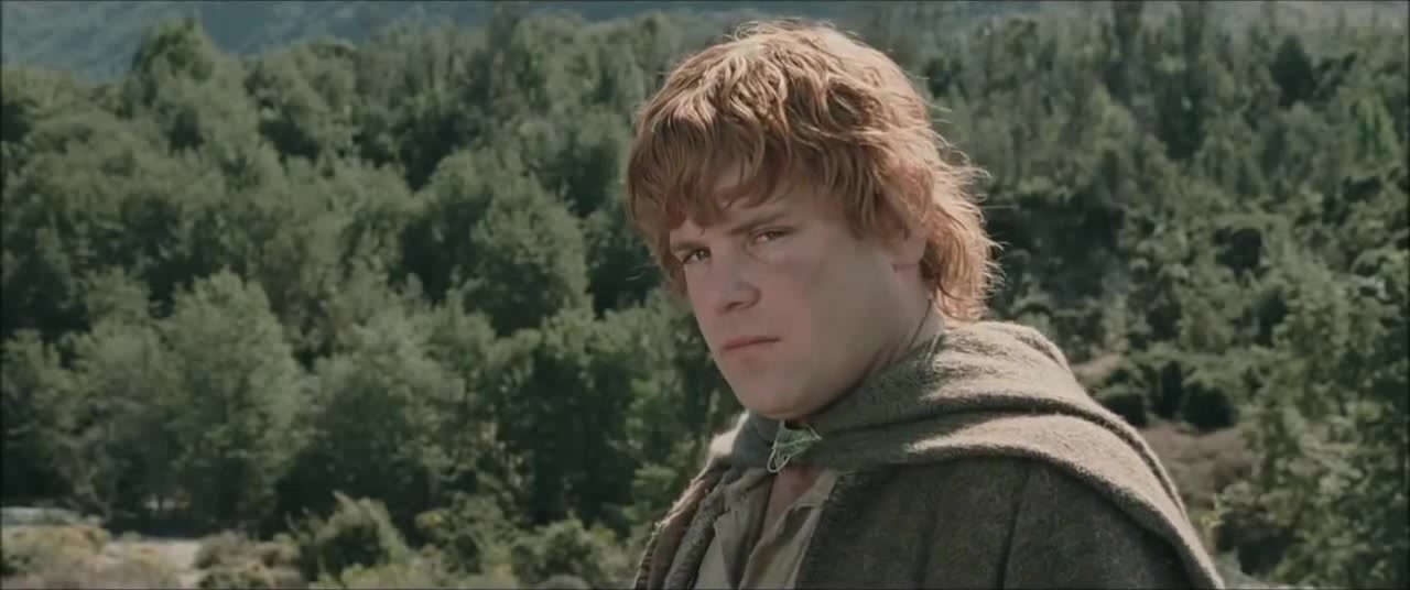 The Lord of the Rings - Stupid Fat Hobbit (HD) - Coub