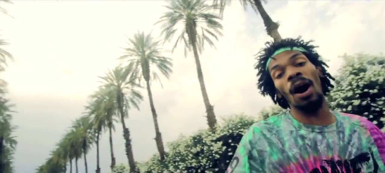 Flatbush Zombies Palm Trees Music Video (Prod. By The Architect) Coub
