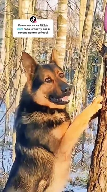 Ребята прикиньте тут есть радио откуда