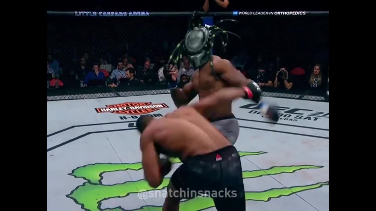 Predator participates in the UFC - Coub