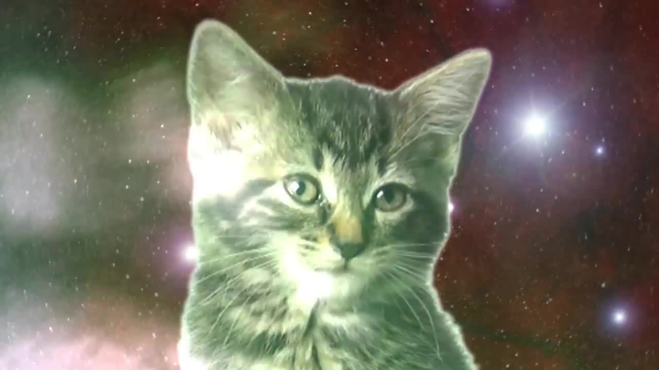 Space Cats — Magic Fly - Coub - The Biggest Video Meme Platform