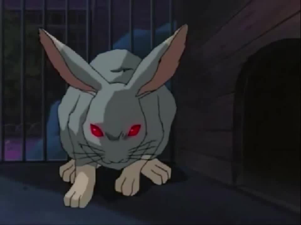 Ghost Stories Anime: Ghost Rabbit - Coub