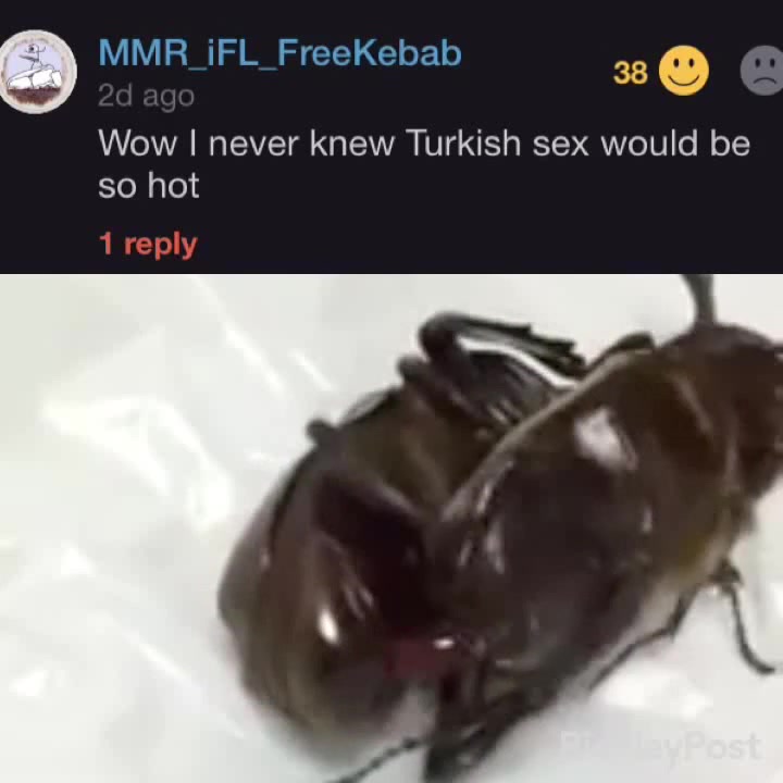 Turkish sex