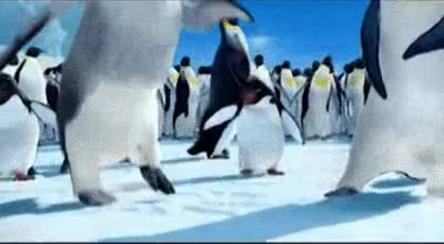 Happy Feet - Coub - The Biggest Video Meme Platform