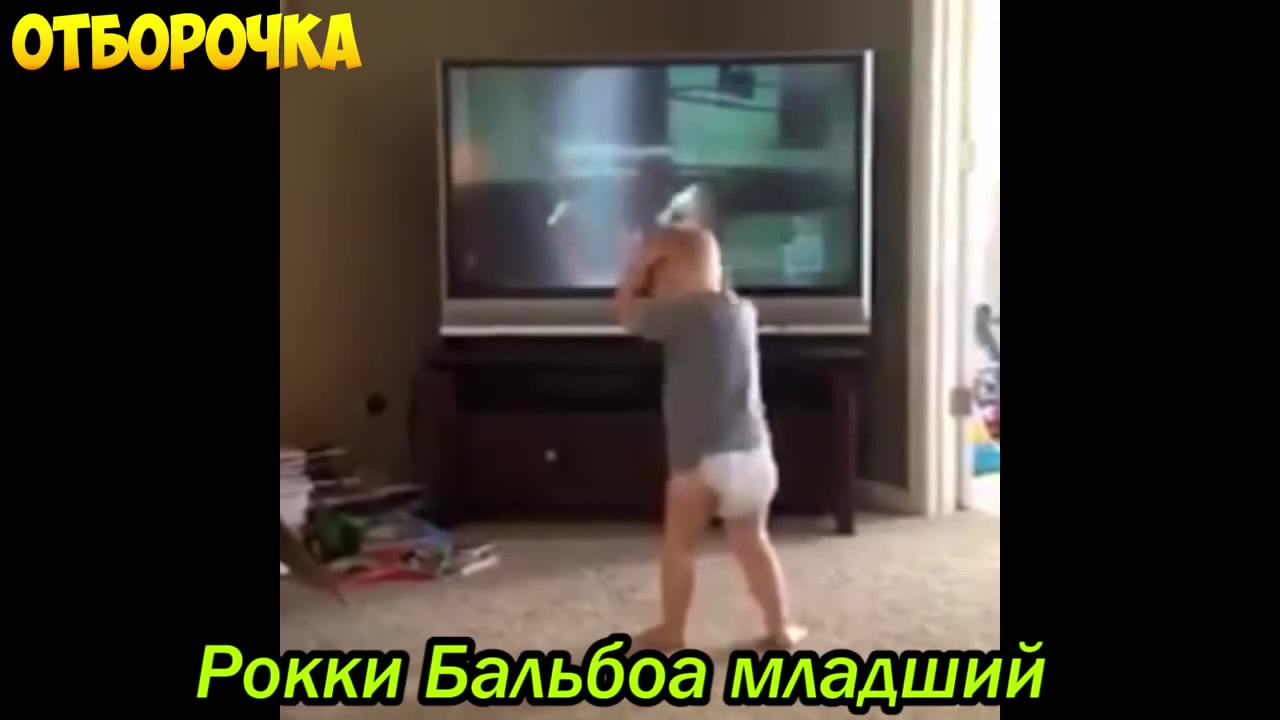 Сын Рокки :) - Coub - The Biggest Video Meme Platform