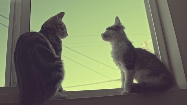 ля мур - Coub