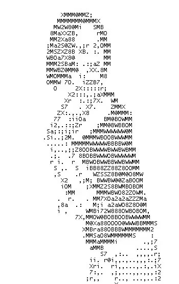 ASCII GIRL - Coub