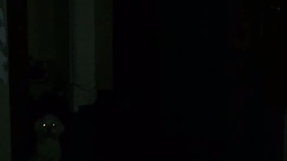 Епта - Coub