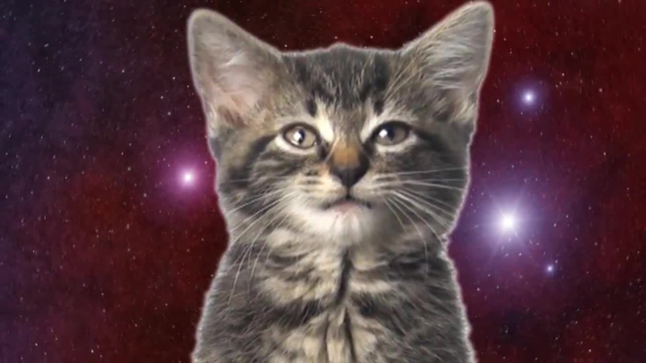 Space Cats — Magic Fly 