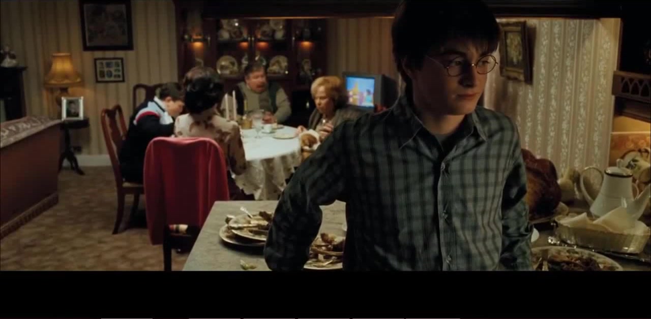 Harry Potter, Aunt Marge Dursley Coub The Biggest Video Meme Platform