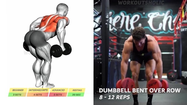 How to Build Bigger Back Muscles - 6 Back Workout Exercises - Coub