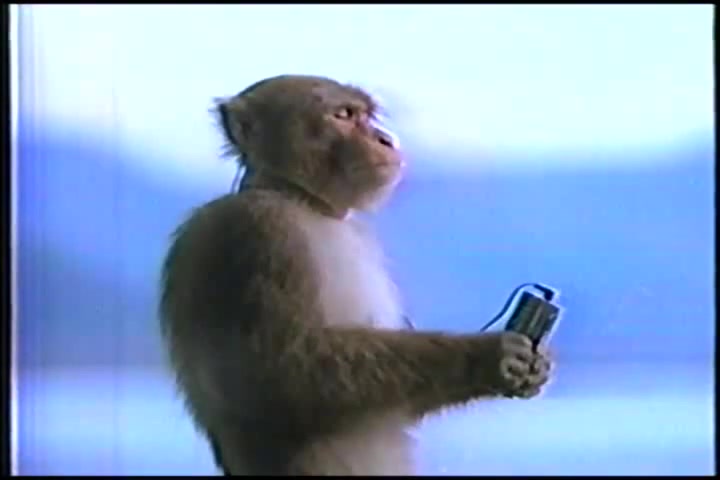Stream Monkey ( monkey dont wear any pants ) song.mp3 by phantom kai621