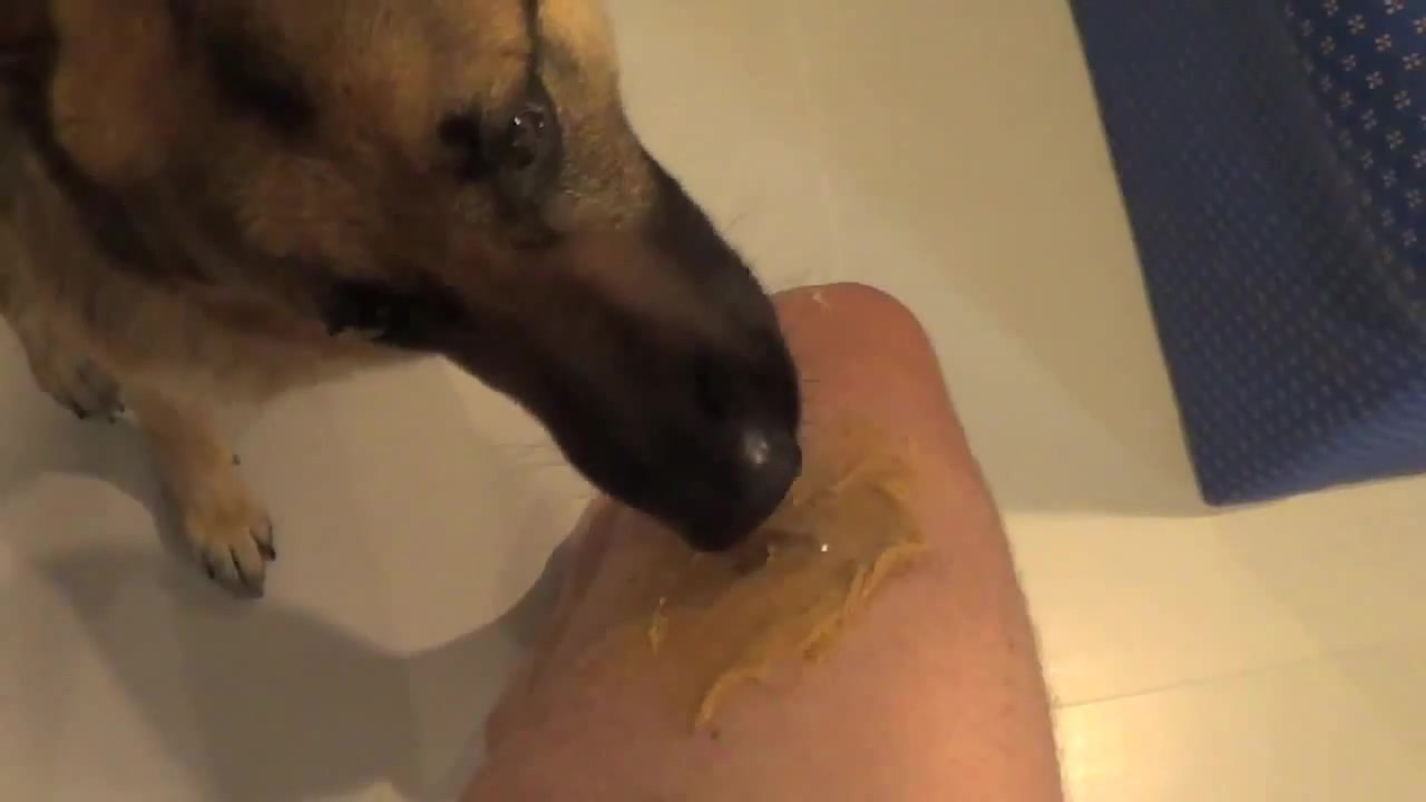 Peanut Butter on my balls Let the dog lick it | Filthy Frank [2] - Coub -  The Biggest Video Meme Platform