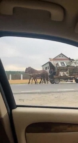 Презентация ничего на свете лучше нету