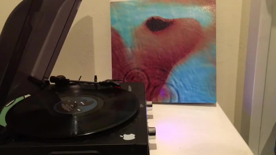 echoes-pink-floyd-coub-the-biggest-video-meme-platform