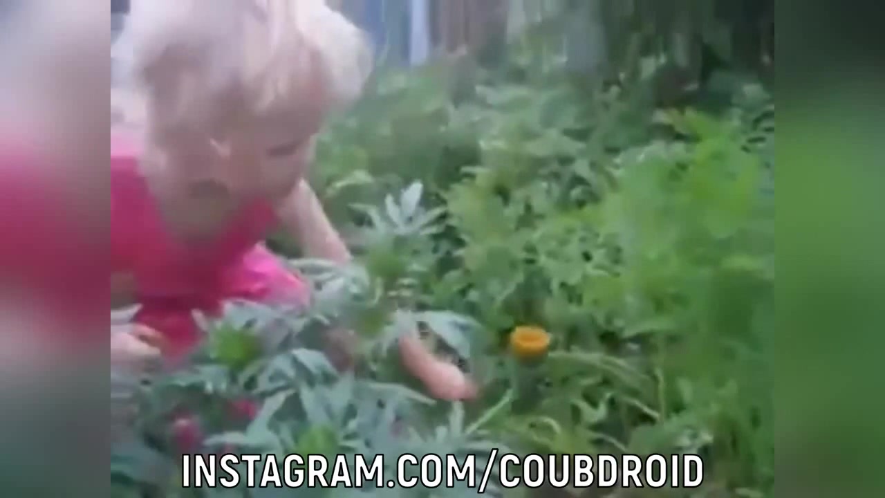 ЗАЦЕПИЛАСЬ ЗА ГВОЗДЬ - Coub - The Biggest Video Meme Platform