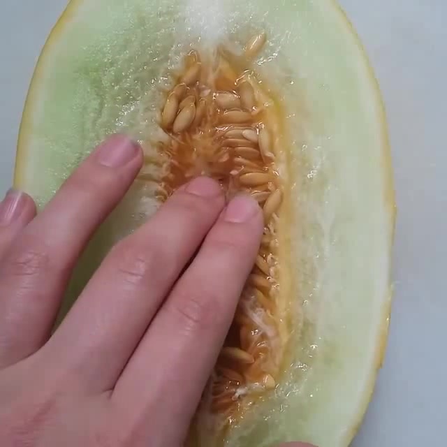 Stephanie Sarley and fruits Coub