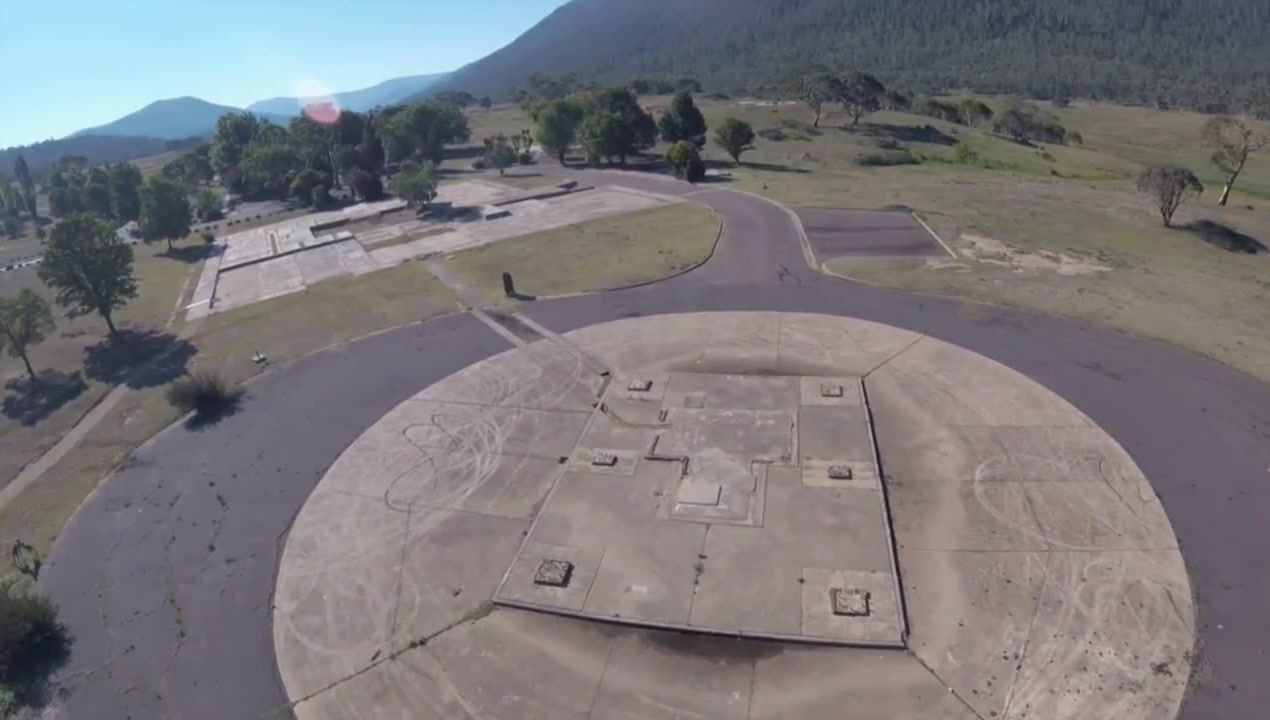 Hey, kangaroo! WTF? Coub