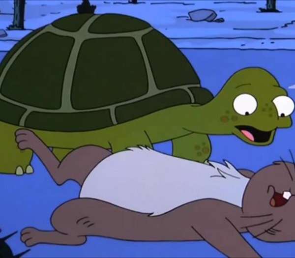 American Dad Turtle American Dad: Every Episode That Features The