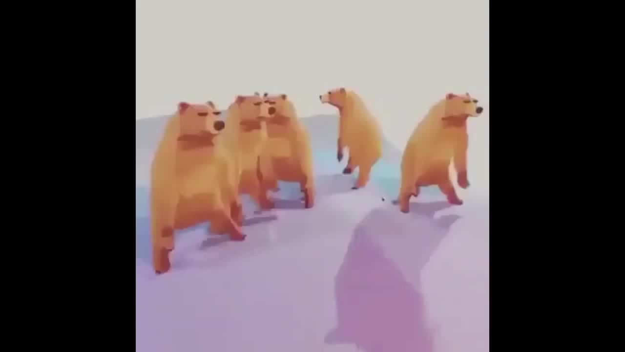 Dancing bear - Coub