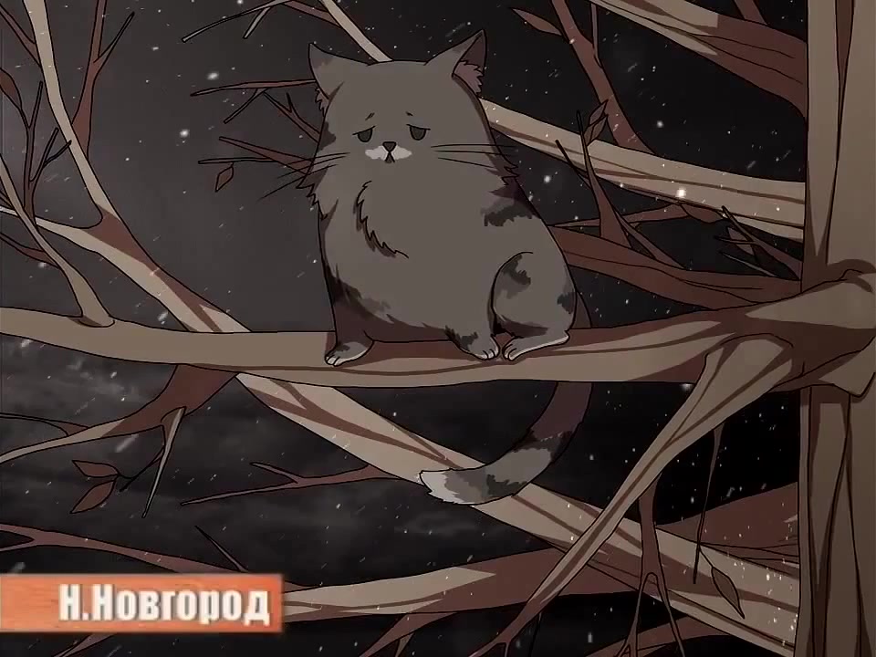 Зато я спас кота