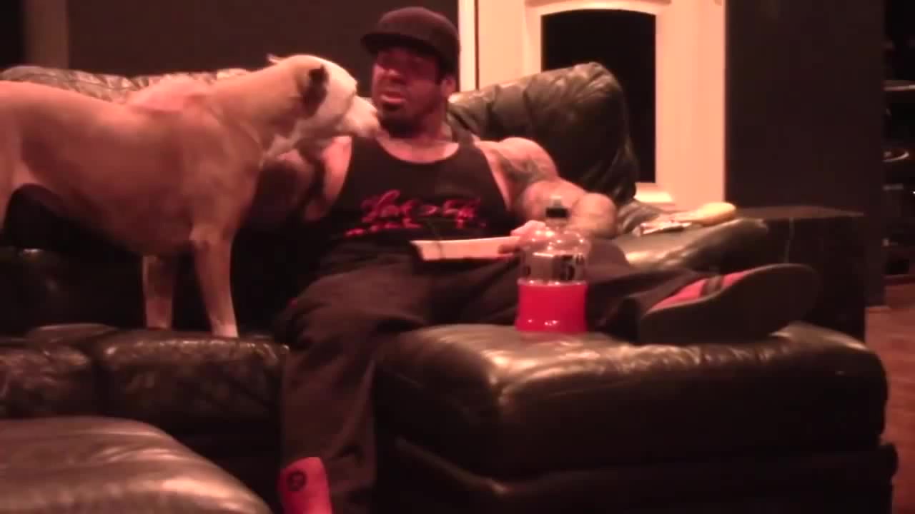 RICH PIANA DOG SEX - Coub