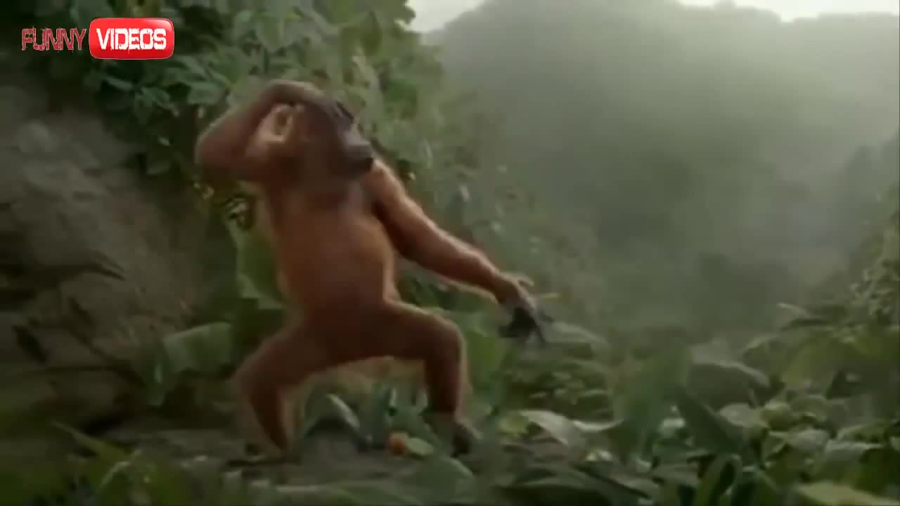 Дритатушечки! - Coub - The Biggest Video Meme Platform