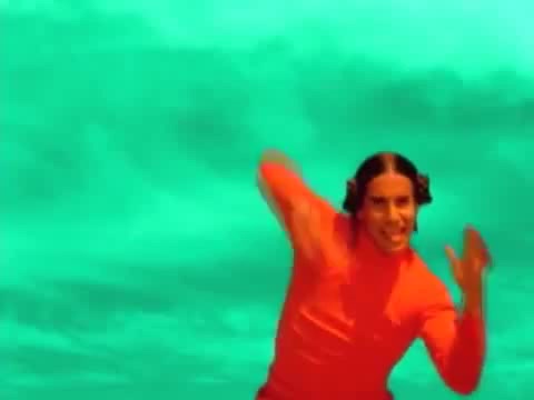 Red Hot Chili Peppers - Breaking The Girl [Official Music Video