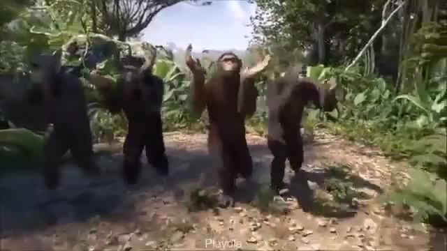 Dancing Monkey Meme