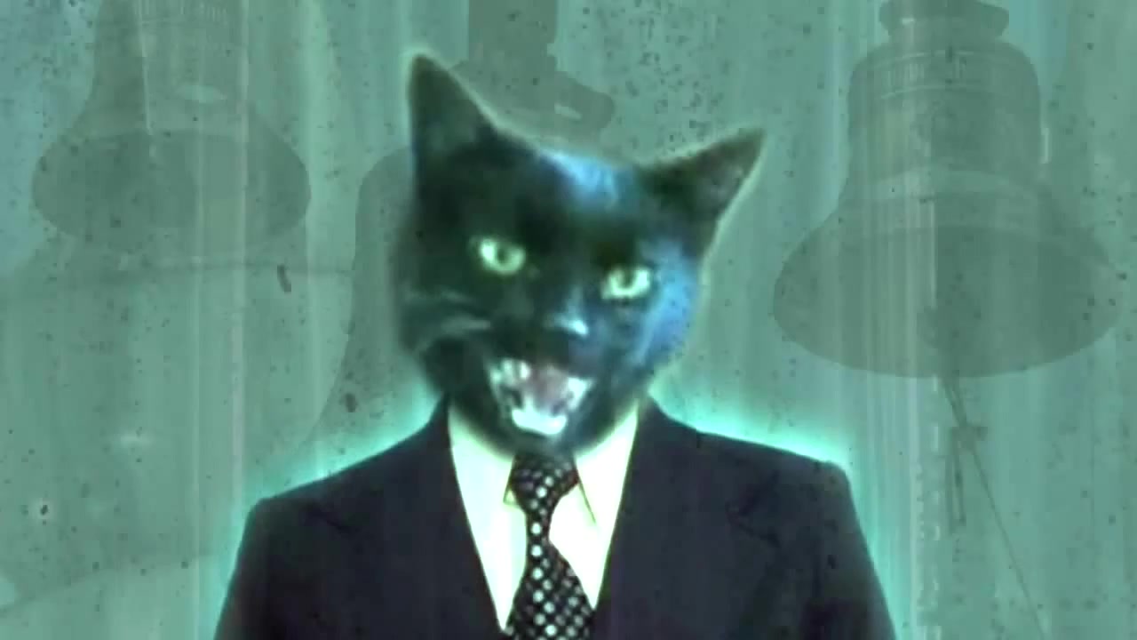 Enjoykin коты