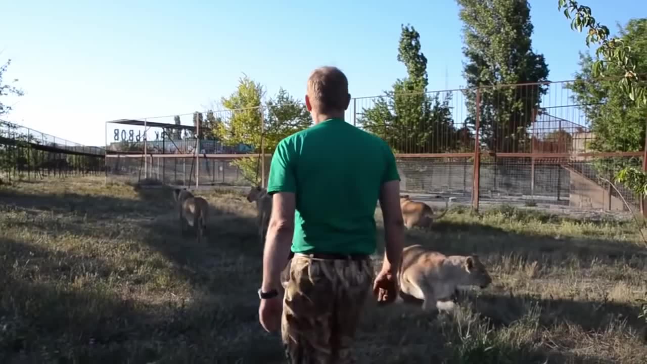 Кидает тапком