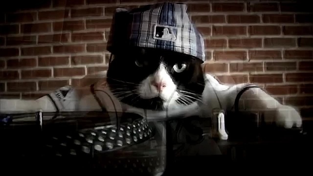 CAT DJ - Coub - The Biggest Video Meme Platform