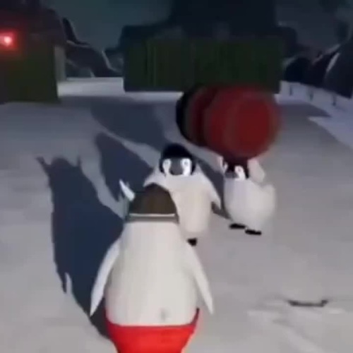 Noot Noot Asshole