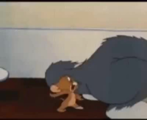 Tom and Jerry (animal porn) - Coub - The Biggest Video Meme Platform