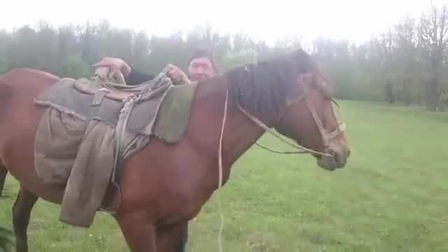 1 Man 1 Horse Video Link