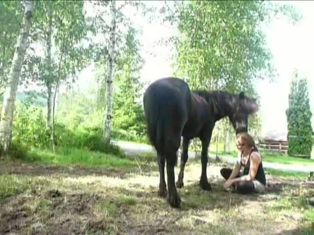 Эволюция иероглифа лошадь. Мама ругает лошадь. Скороговорка про маму на китайском. Hold your horses идиома. Китайская скороговорка мама едет на лошади.