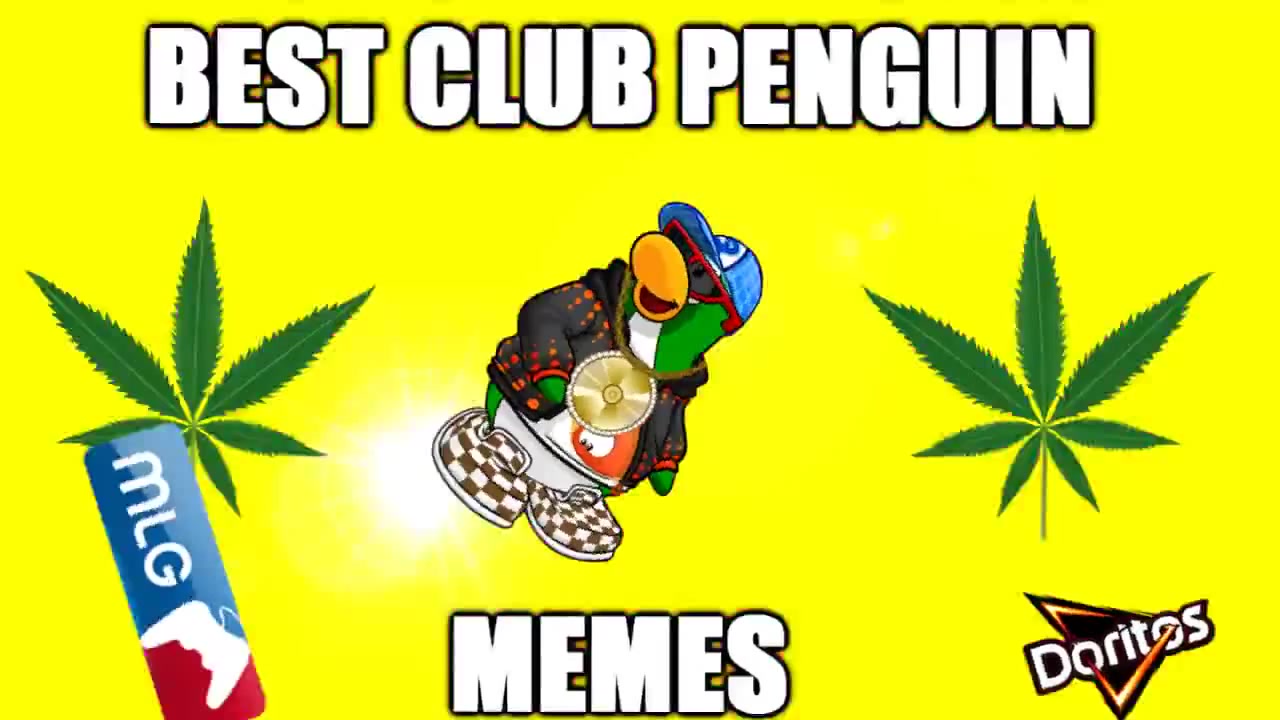 club penguin meme  Club penguin memes, Club penguin, Penguin meme