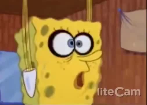 SpongeBob Very Spring Sad - Coub - The Biggest Video Meme Platform