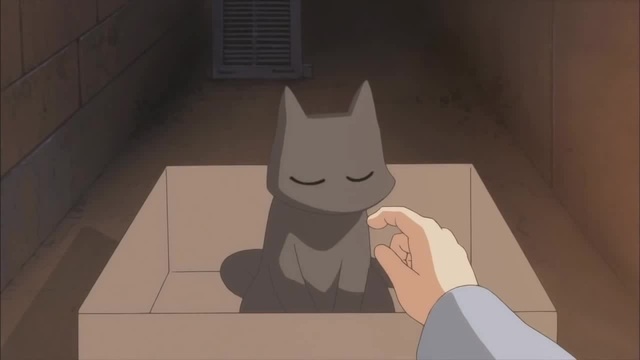 Anime Meme Cat