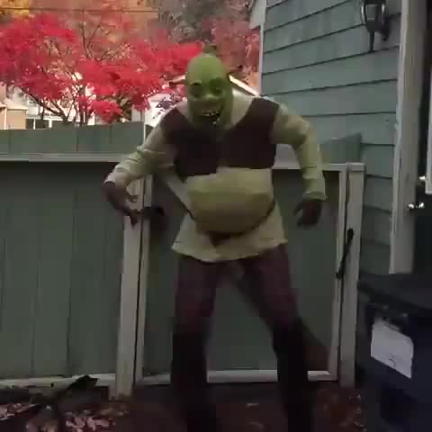 Shrek Dancing - Coub - The Biggest Video Meme Platform